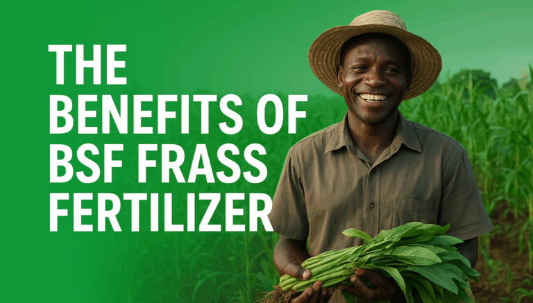 Healthy crop and farmland from BSF Frass Fertilizers | AGmart